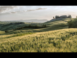 Evening View by Janice Carroll - Highly Commended