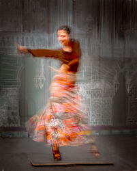 Flamenco Dancer by David Price - Commended