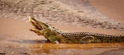 Gone fishing by Mike Kidd - Highly Commended