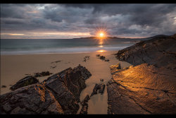 Harris Gold by Adrian Gidney - 2nd place