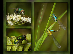 Highly Commended - 2 plus 2 by Adrian Gidney
