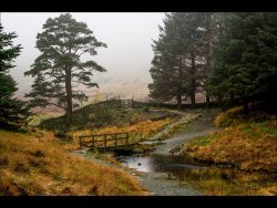 Highly Commended - Blea Tarn by Graham Harcombe