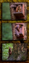 Highly Commended - Nuts by Adrian Gidney