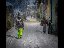 Highly Commended - Walking in the Snow by David Price