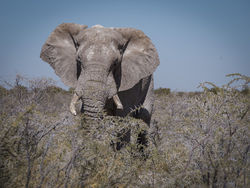 It's time to run by Graham Harcombe - Commended