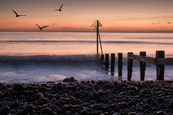 Last of the Light by Chris Wood - 3rd place