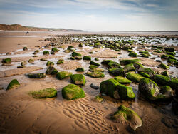 Low Tide at St Bees by Derrick Young Commended