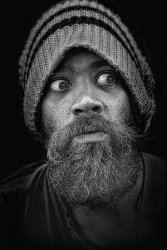 Mark by David Price • Winner