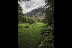Mist on Grassmoor by Janice Carrol - Highly Commended