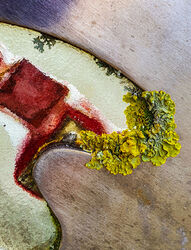 Nature taking over Commended Mary Thompson
