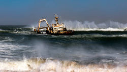 Not Moving by Mike Kidd - Highly Commended