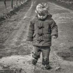 Not the puddle by Jason Willis - Highly Commended