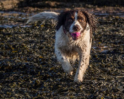 On the Beach By Janice Carrol - Highly Commended