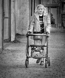 Print Still Mobile by David Price - 18pts