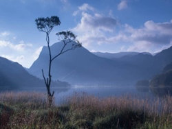 Rise and Shine by Jason Willis - Commended
