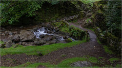 Secret Place by Chris Wood Commended