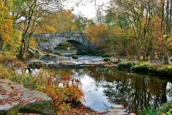 Skelwith Bridge by Ann Draper - Commended