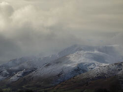 Snowy Saddleback by Jane Gilmore - Commended
