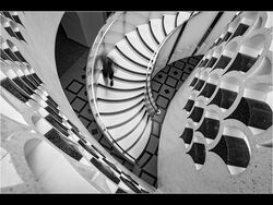 Spiral Staircase Highly commended Fran Walding