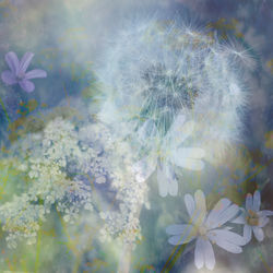 Summer Hedgerow by Ann Healey 20pts 3rd