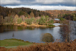 Tarn Hows by Fran Walding Commended