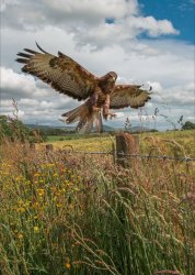 4th Open Competition 2015-16 - Prints