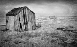 The Foreshore by David Price (20 points)