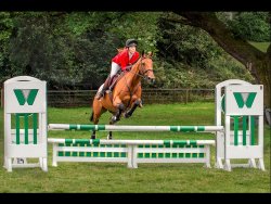 The Jump by David Price - Commended