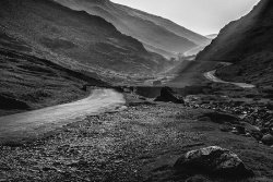 The Road Ahead by Ann Healey - Commended