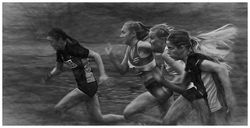 The Sprint by Chris Wood - Highly Commended