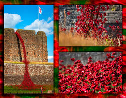 The Weeping Window by Adrian Gidney Commended