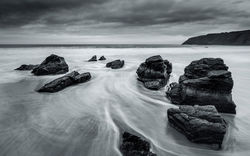 The gathering by Adrian Gidney - 2nd Place
