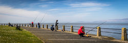 Tight Lines by Ann Healey (18)
