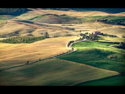 Tuscan Gold by Janice Carroll - Highly Commended