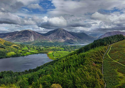 Walkers View by Allan Thompson - Commended