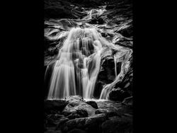 Warnescales Beck by Derrick Young 3rd Place