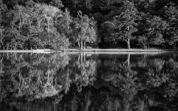 Waters edge by Adrian Gidney • Highly Commended
