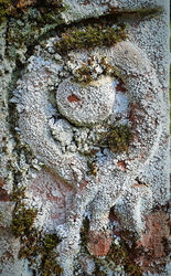 What it comes to in the end Commended Mary Thompson