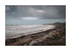 Winter Light by Ann Healey Highly Commended