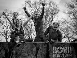 Yes! We've Done It by Chris Wood • Highly Commended
