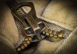 Zipped by Allan Thompson - Highly Commended