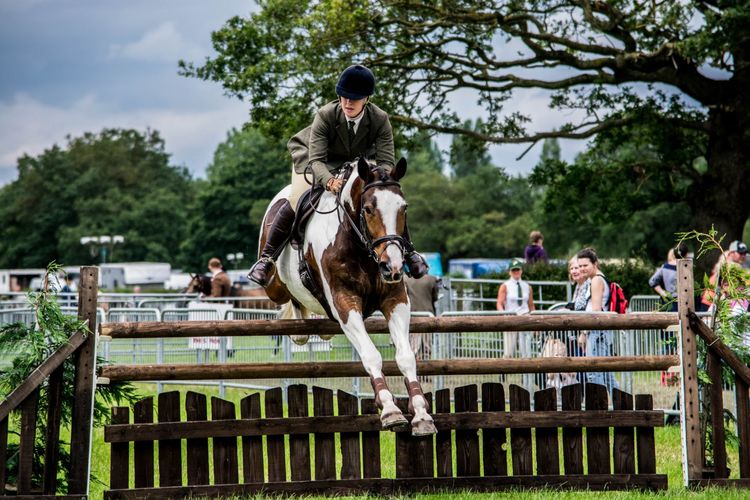 Royal County Cheshire Show