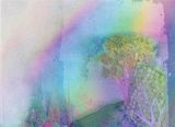 Rainbow Mist