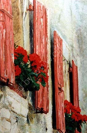 Red Geraniums
