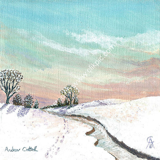 A Winter Walk