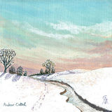 A Winter Walk