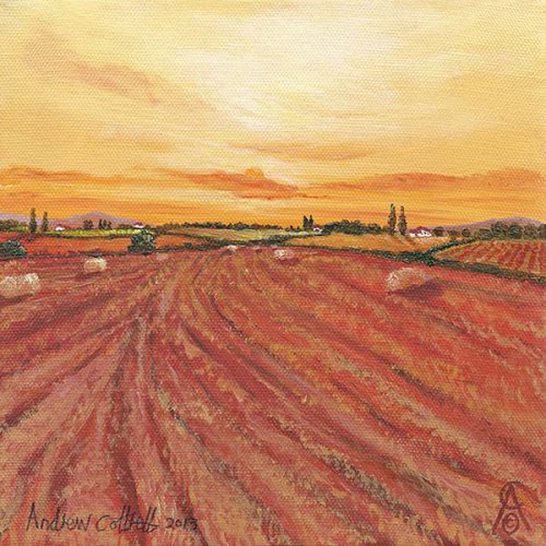 After Harvest II