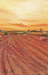 After Harvest II