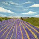 English Lavender