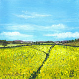 English Yellow